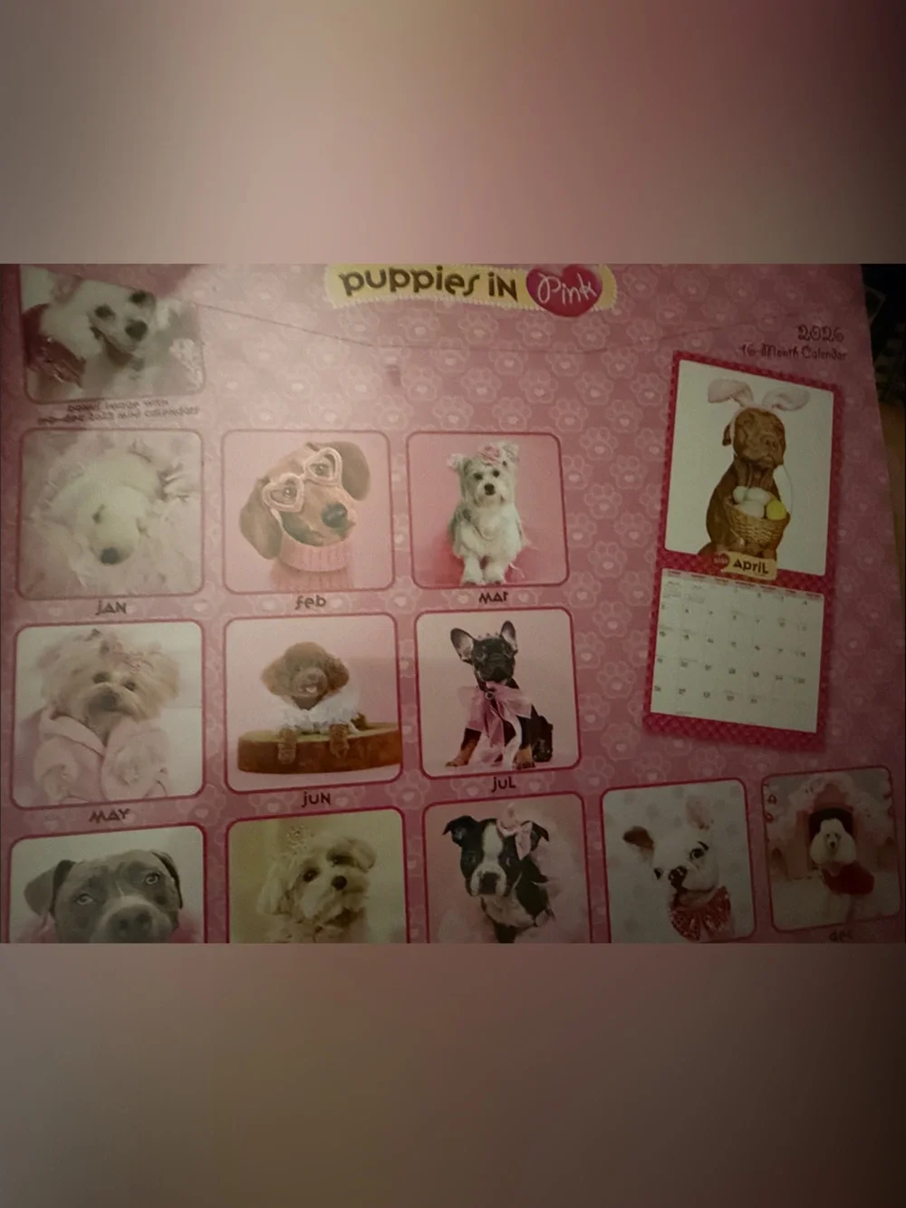 2026 Wall Calendar - Pink